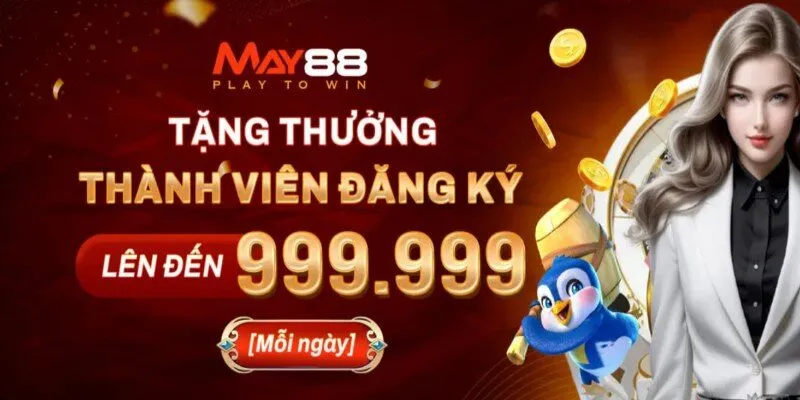 Vài nét khái quát về MAY88